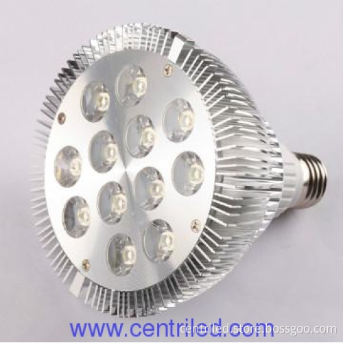 power & Efficient 12W Par38 LED spot lights